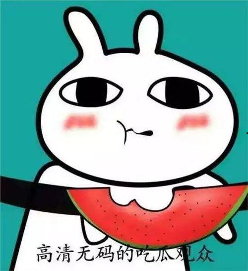 吃瓜表情怎么回,网络热词背后的文化现象